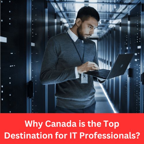 Why Canada is the Top Destination for IT Professionals?