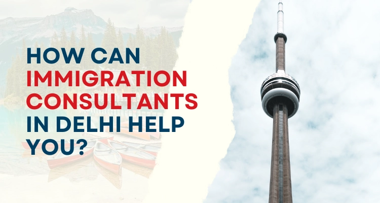 How can immigration consultants in Delhi help you?
