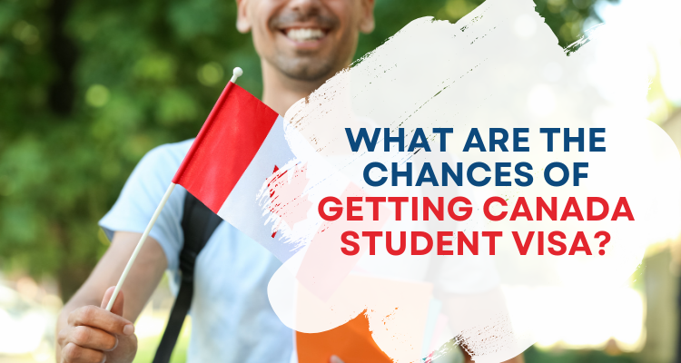 What are the chances of getting Canada student visa?