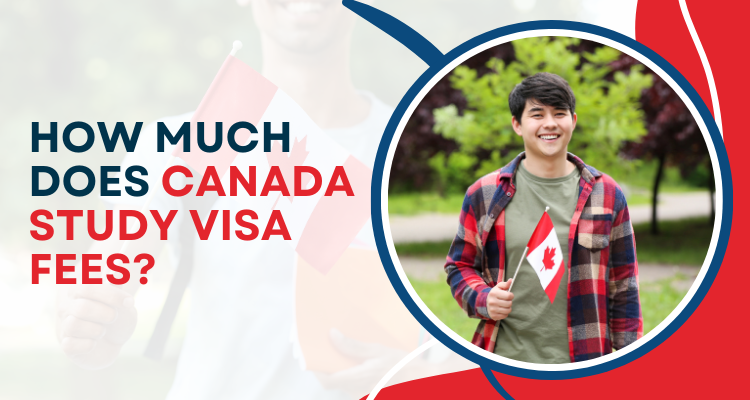How much does Canada study visa fees?
