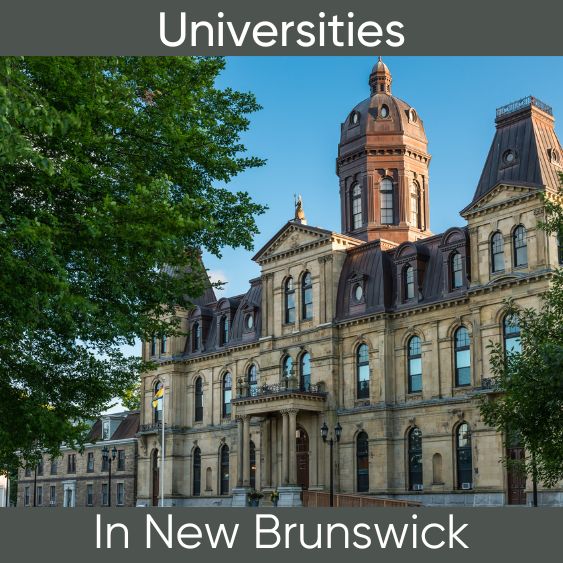 Universities In New Brunswick