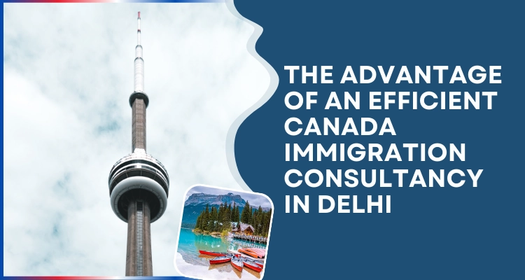 The advantage of an efficient Canada immigration consultancy in Delhi